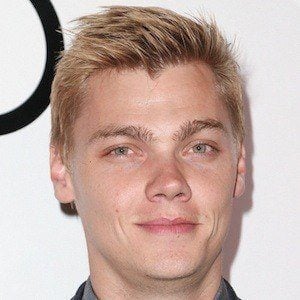 Levi Meaden Profile Picture