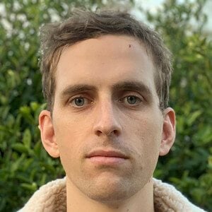 Modest Pelican Profile Picture