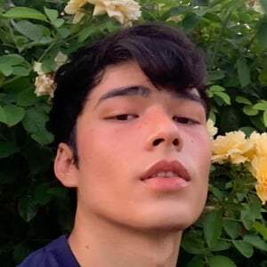 nopalitoss Profile Picture