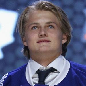 William Nylander's Hair (Steam) player statistics page