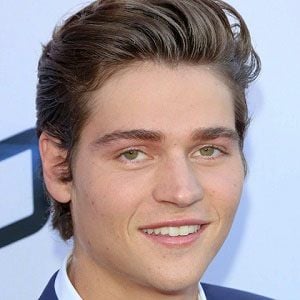 Will Peltz