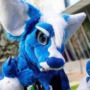 Pocari Roo Profile Picture