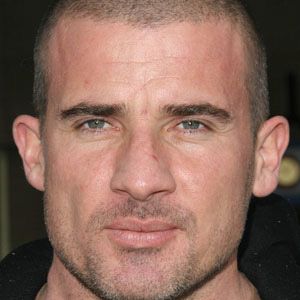 Dominic Purcell Profile Picture