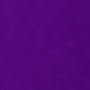 Purpled Headshot 