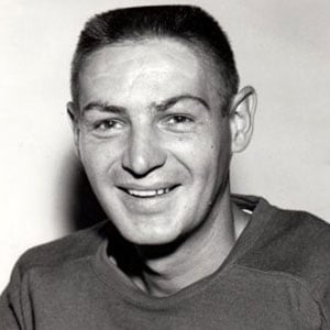 terry sawchuk worth categories