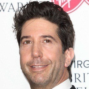 David Schwimmer Profile Picture