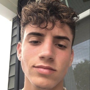 Dominic Scirrotto Profile Picture