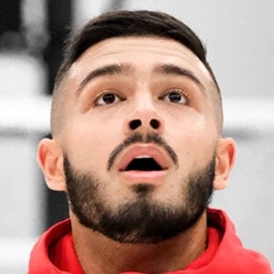 Alireza Shafiei Profile Picture