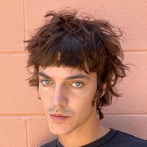 Spliflort Profile Picture
