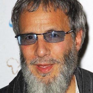 Cat Stevens Profile Picture