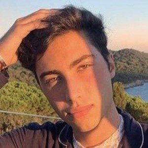 Alex Tamburini Profile Picture