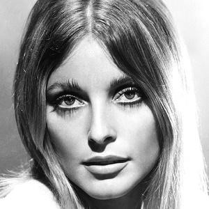 Sharon Tate Profile Picture