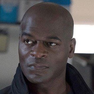 Hisham Tawfiq Profile Picture