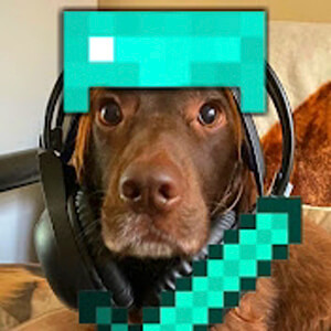 TdogGaming Profile Picture