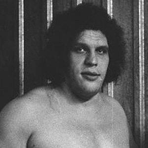 Andre the Giant