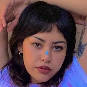 Torta666 Profile Picture