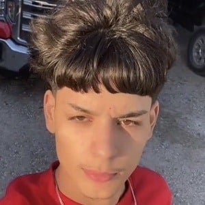 txs.marvin Profile Picture