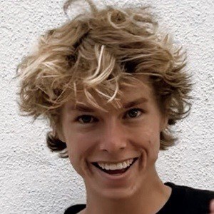 Lachlan Viney Profile Picture