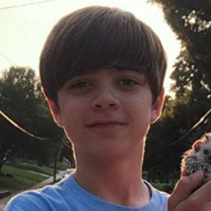 Cole Walters Bio Facts Family Famous Birthdays
