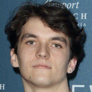 Fionn Whitehead Profile Picture