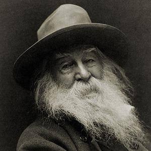 Walt Whitman Profile Picture