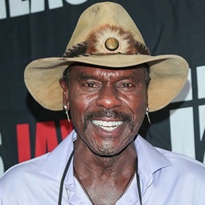 Steven Williams Profile Picture