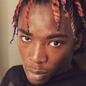 Merlyn Wood Profile Picture