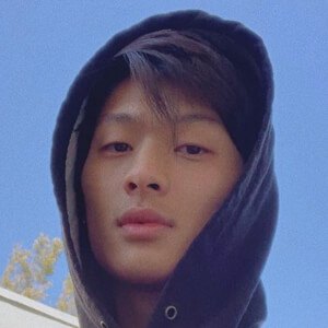 Josh Yang Profile Picture
