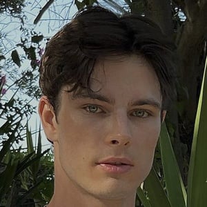 Alexander Zanoza Profile Picture