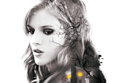 Amityville: The Awakening