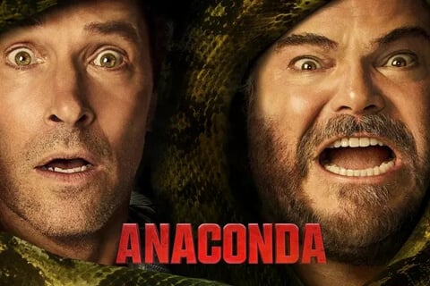 Anaconda