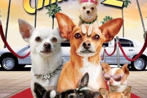 Beverly Hills Chihuahua 2