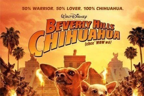 Beverly Hills Chihuahua