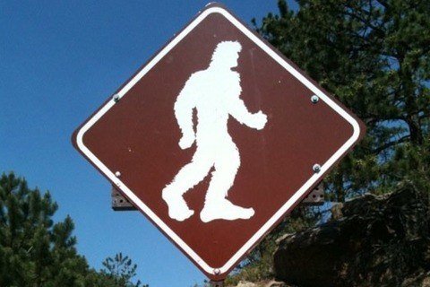 Bigfoot