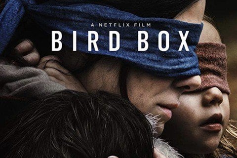 Bird Box