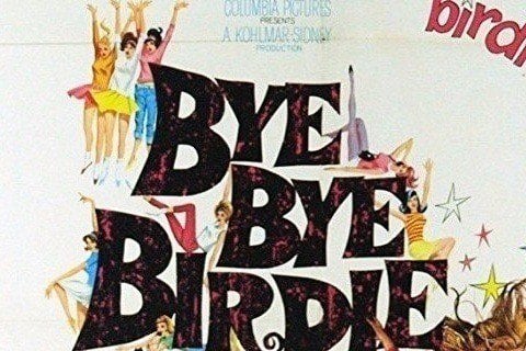 Bye Bye Birdie