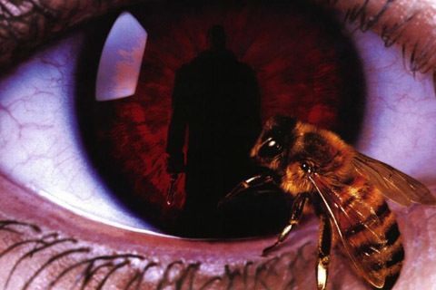 Candyman (1992)