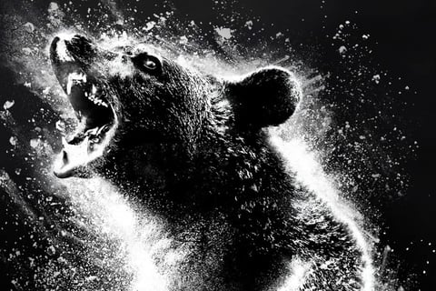 Cocaine Bear