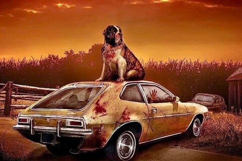 Cujo