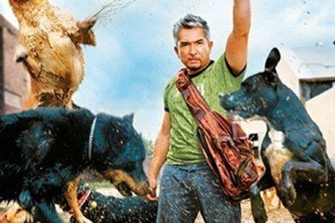 Dog Whisperer with Cesar Millan