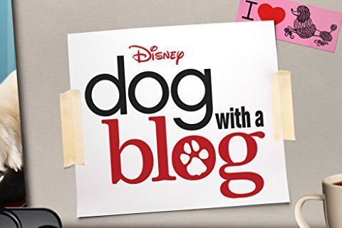 Dog with a Blog