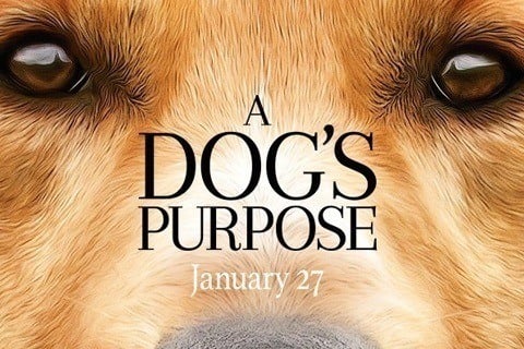 A Dog's Purpose