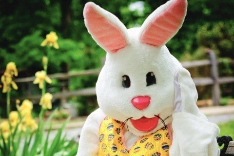 Easter Bunny