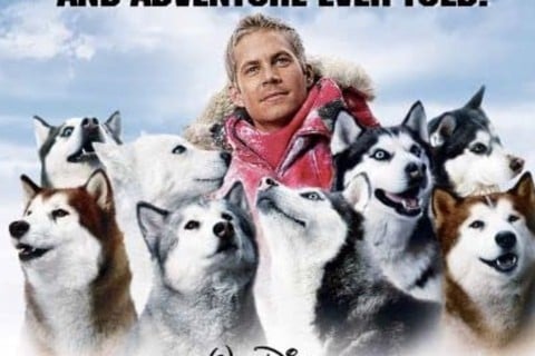 Eight Below