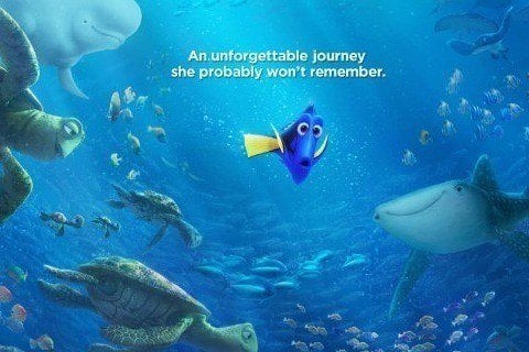 Finding Dory