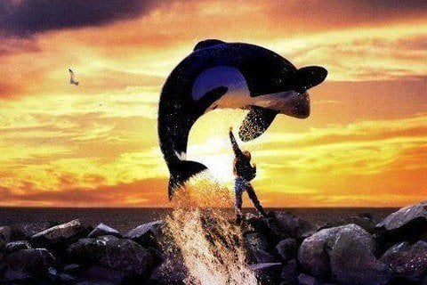 Free Willy