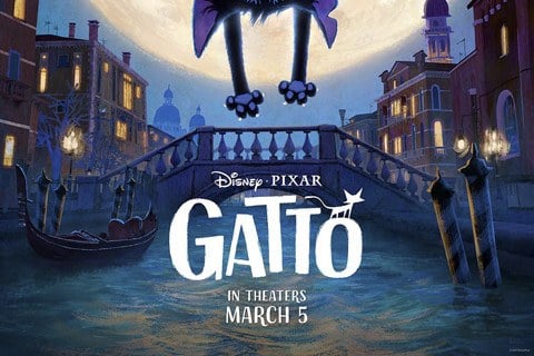 Gatto