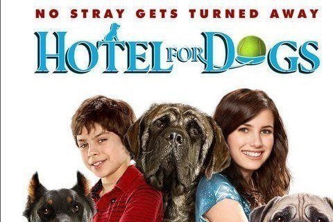 Hotel for Dogs