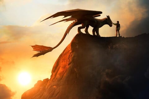 How to Train Your Dragon