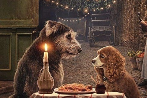 Lady and the Tramp